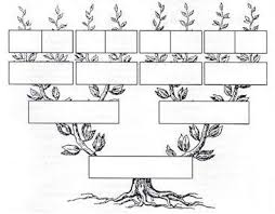 Arbol Genealogico En Blanco Crea El Tuyo Te Ensenamos