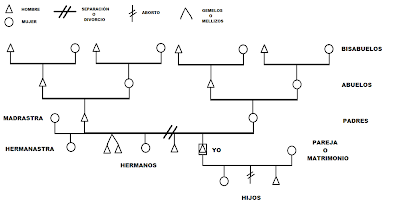 como hacer árbol genealógico de la familia