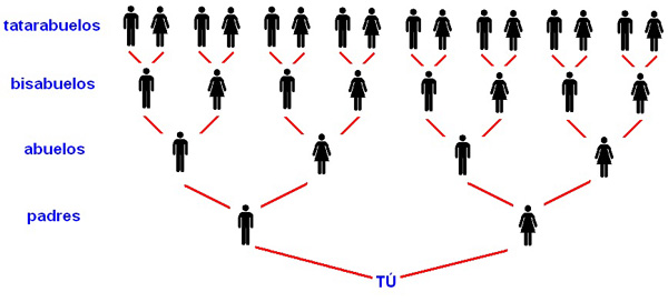 árbol genealógico familiar completo
